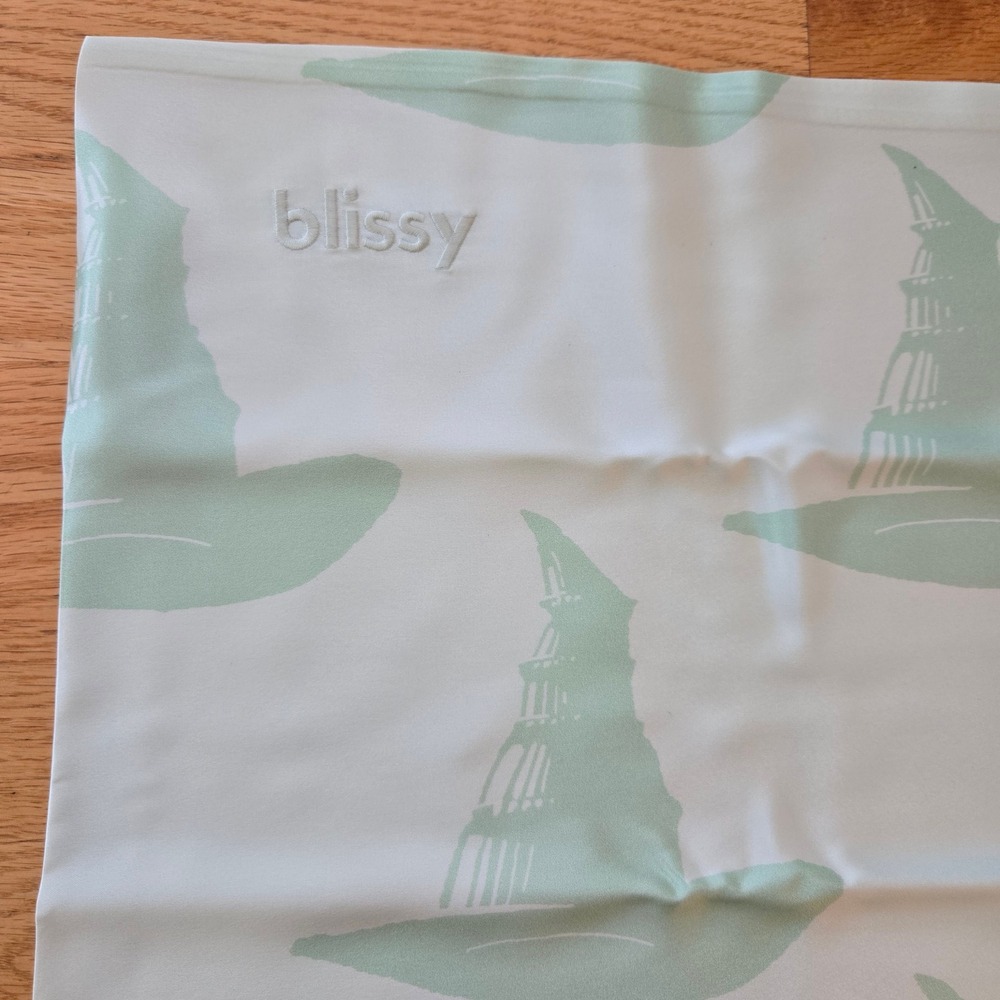 Blissy x Wicked Silk Pillowcase Queen positively Green Witch Hat 100% Silk New